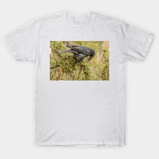 Black Currawong 01 T-Shirt